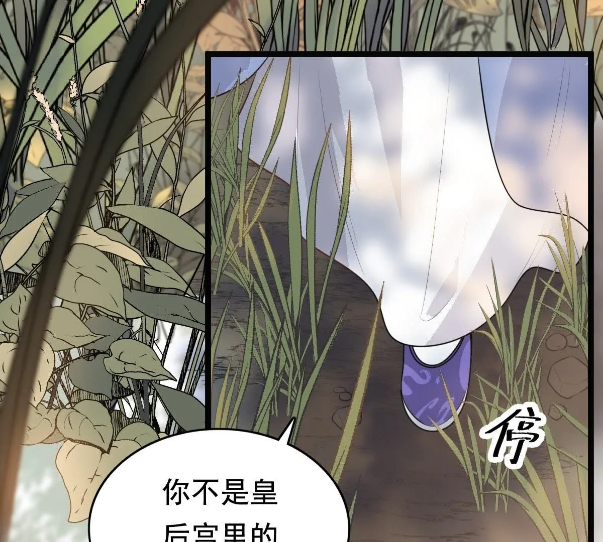 战神狂妃:凤倾天下小说免费阅读漫画,51 第50话 意在毁容5图