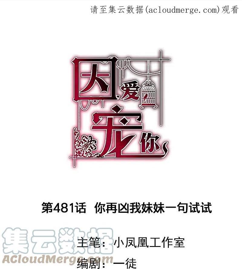 因爱宠你漫画下拉漫画,第481话1图