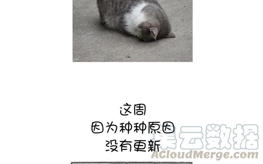 神厨狂后漫画免费阅读漫画,_延更通知_2图