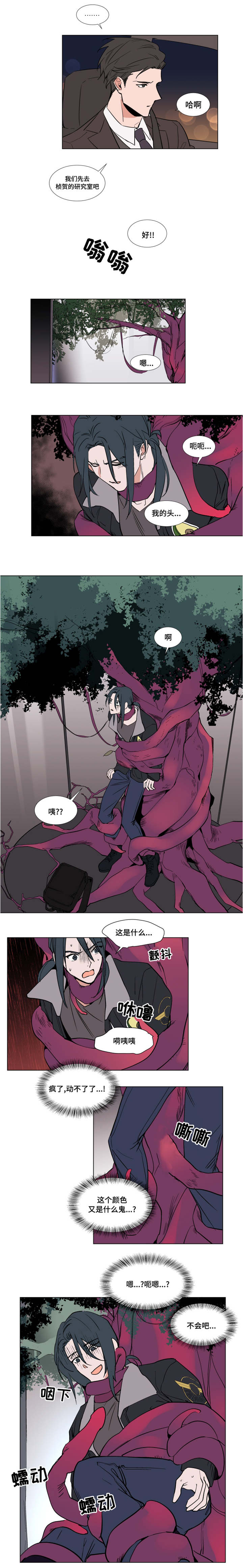 植物造型专用的固定神器漫画,第50章：不原谅4图