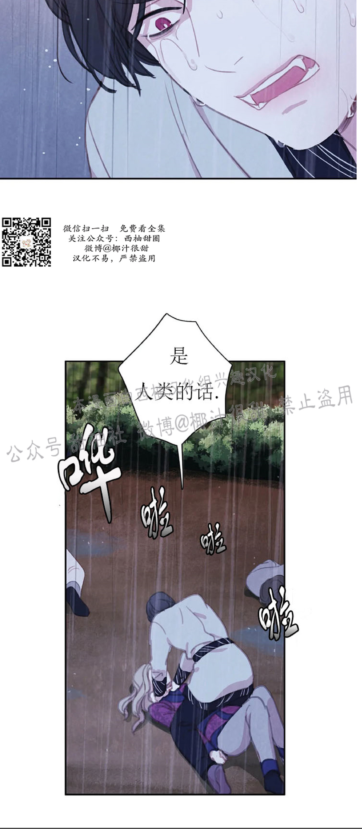 与蝙蝠共餐韩漫哪年出的漫画,第24话2图