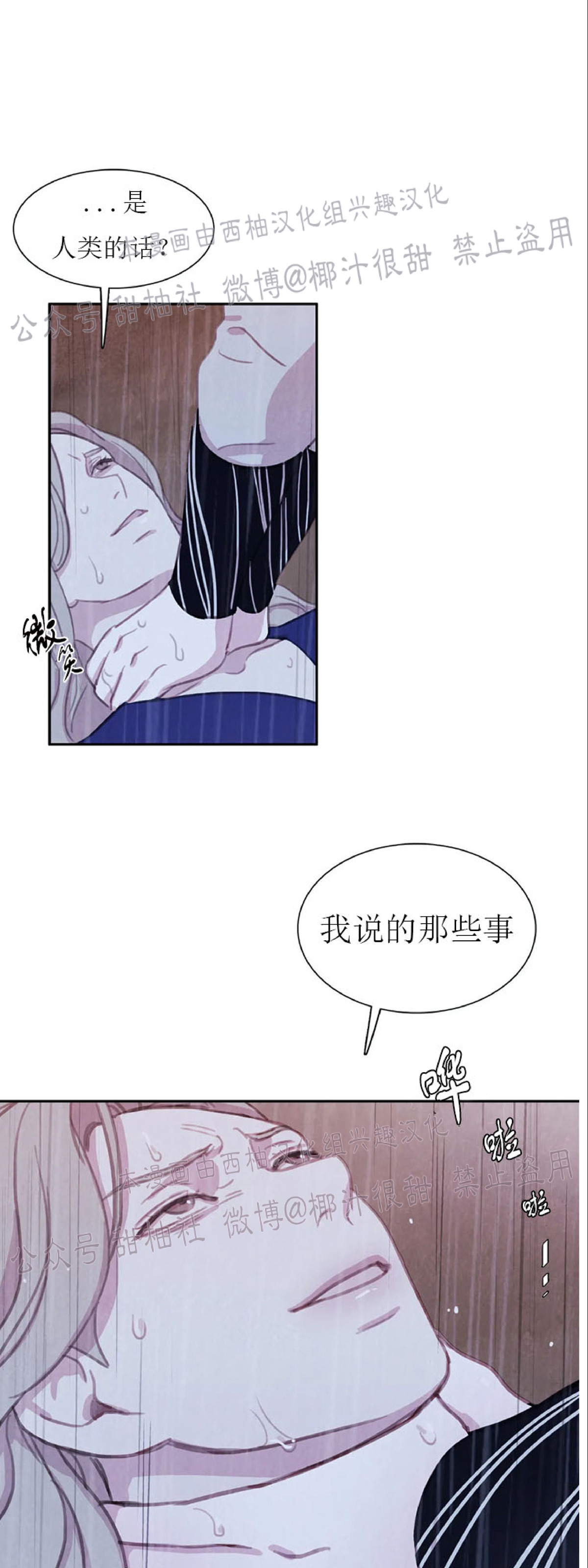 与蝙蝠共餐韩漫哪年出的漫画,第24话3图
