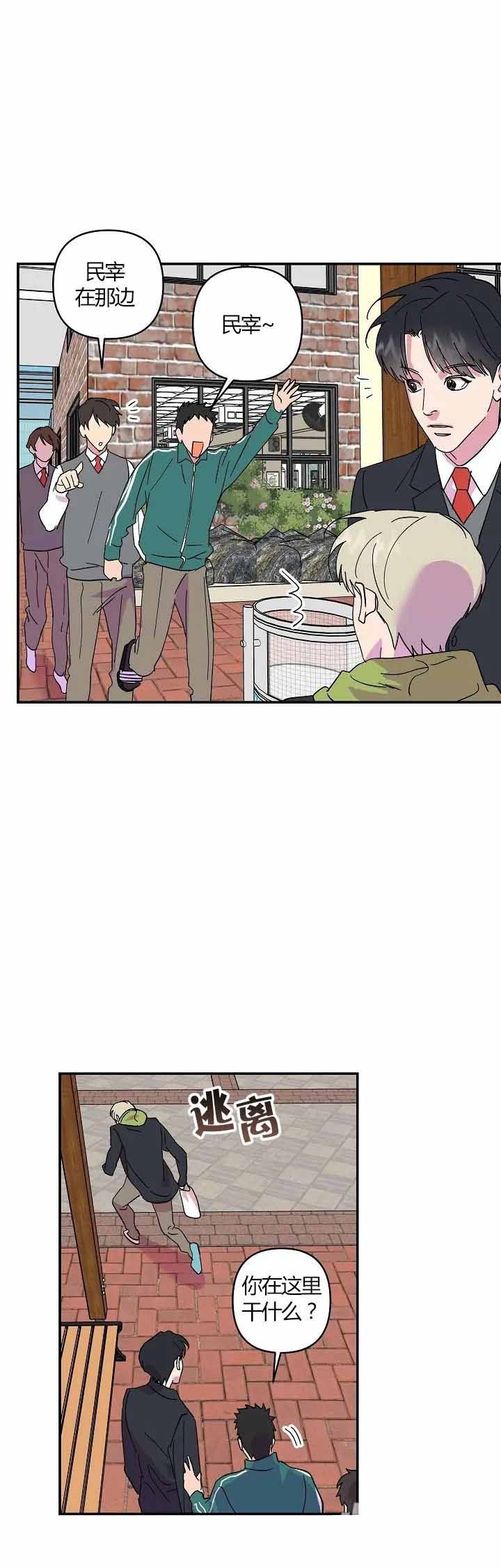 订婚对象是花美男漫画第11话漫画,第31话5图