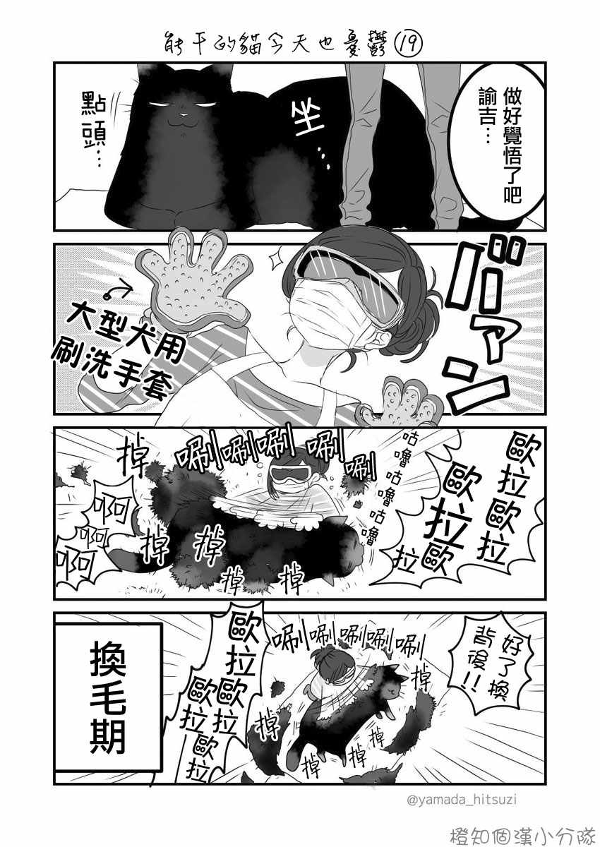 能干的猫今天也忧郁06漫画,能干的猫推特版17-204图
