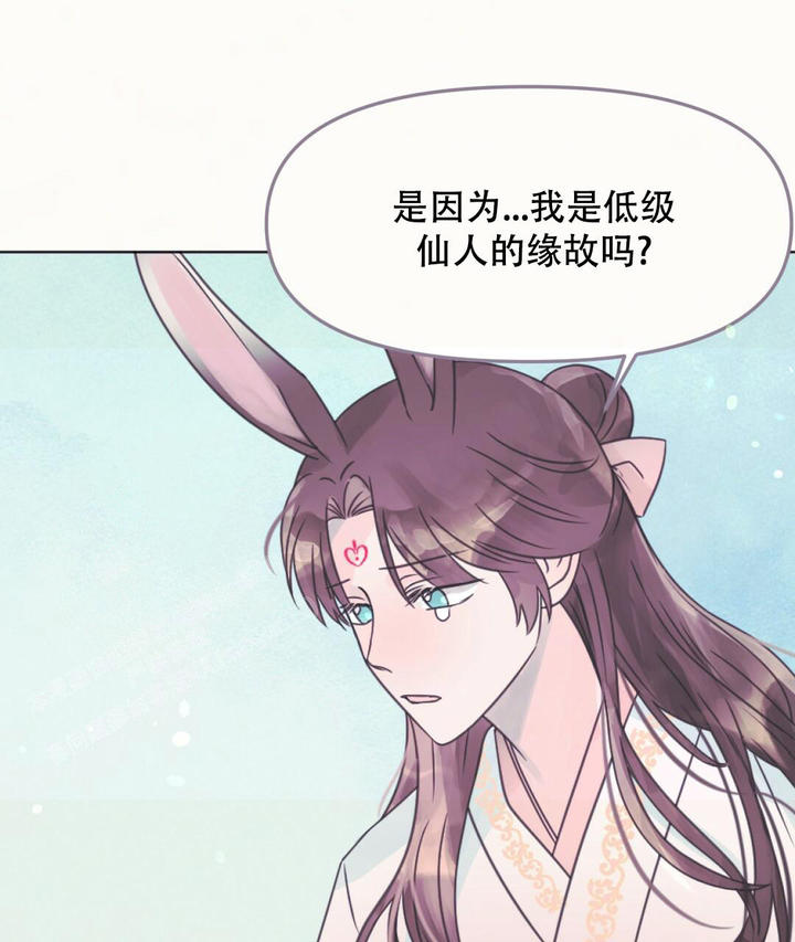 兔兔的世界漫画,第20话2图